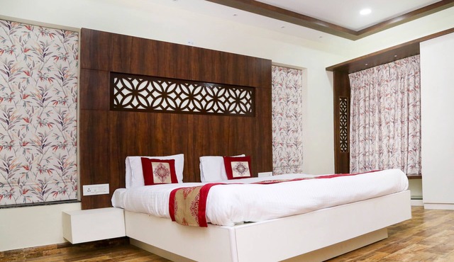 Areca Palms
