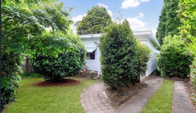 Camellia Cottage - your peaceful mountain getaway!