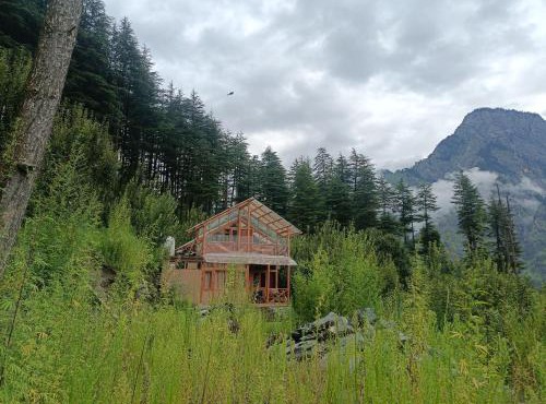 Cedar Forest BnB Villa