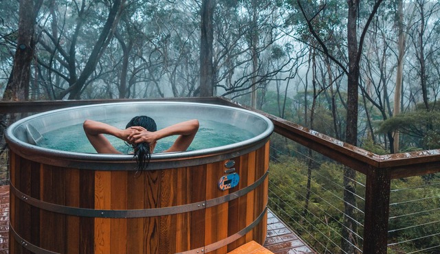 Cedar Hot Tub in the Treetops Shady Pines Cabin