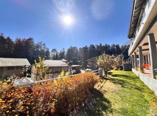 Green forest BnB and cafe