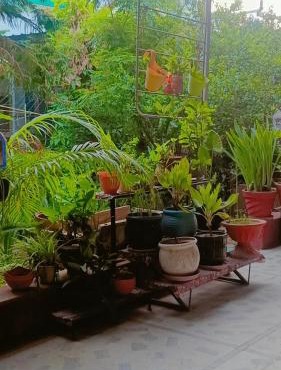 Homestayinpinkcity