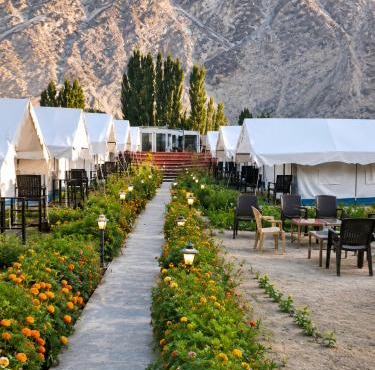 ITW- Into The Wild Camps , Tyakshi , Leh