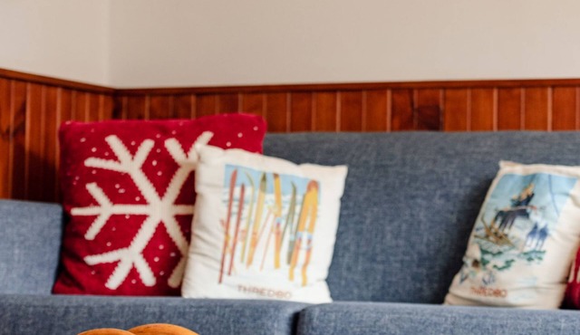 Karoonda 1 Ski Cabin, your perfect Thredbo base with views from every window