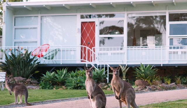 Lakeside Retro Cottage for two