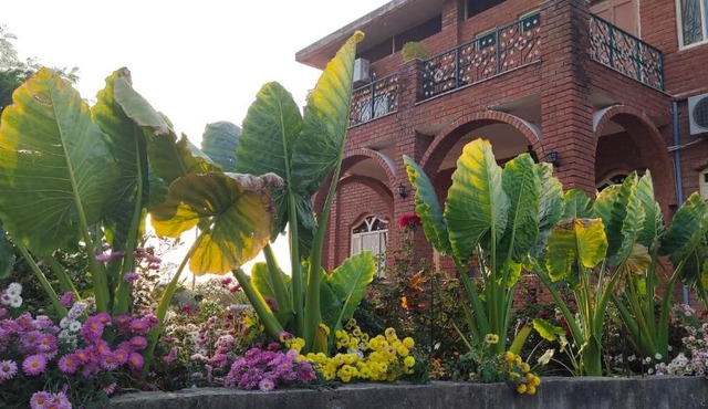 lalita homestay countryside