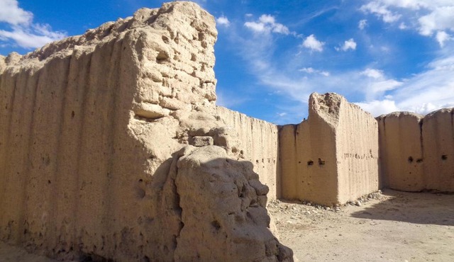 Maney Homestay - Thiksey - Leh