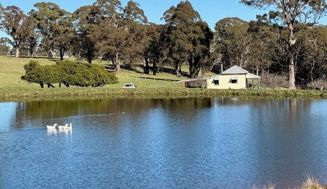 Milmilland Cottage - 10 mintutes to the Barrington Tops, Escape and unwind.