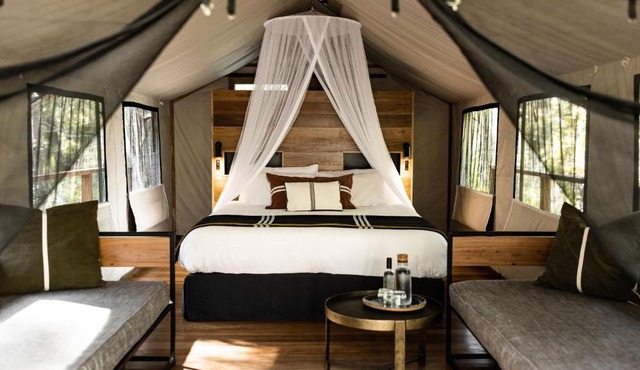 Paperbark Camp