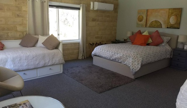 Spacious and modern room w ensuite (pet friendly)
