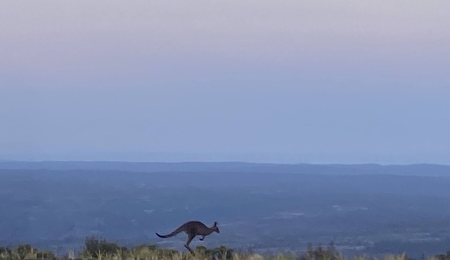 Stay on the escarpment, rural retreat, forest bathe, stargaze, amazing views