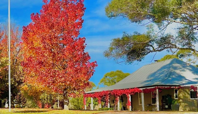 Stunning Homestead & Cottage, just 10 minutes from historic Braidwood.