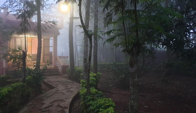 The Cabin in the woods