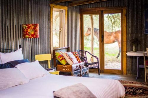 The Shearing Shed - Boutique Farm Stay