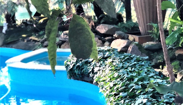 Verwood Estates: heated pool/spa, sauna, tennis, billiards, cellardoor
