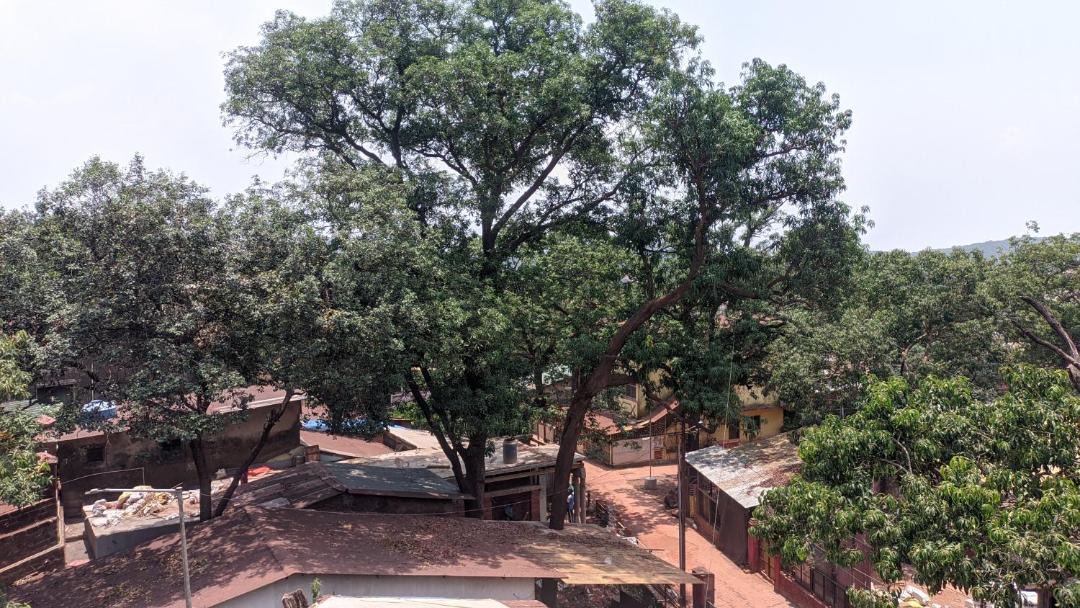 Matheran Hotel | Hotel M N Matheran