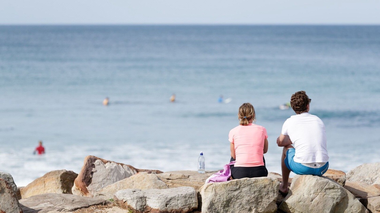 Photo of Human In Picture in Cronulla