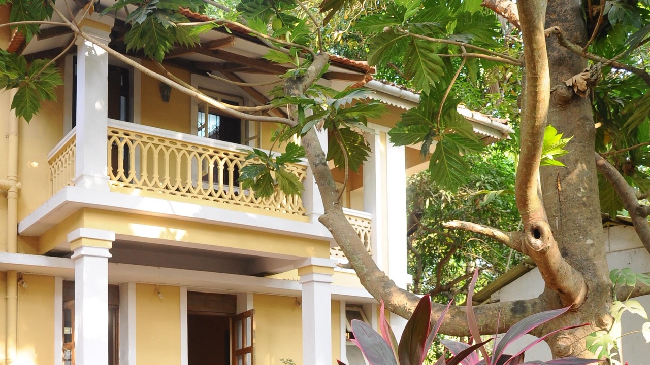 Photo of Others in Palolem