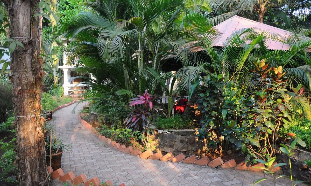 Photo of Others in Palolem
