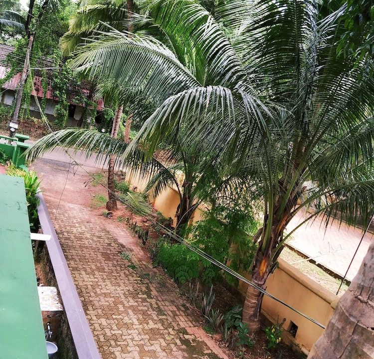Photo of Buildings in Majorda