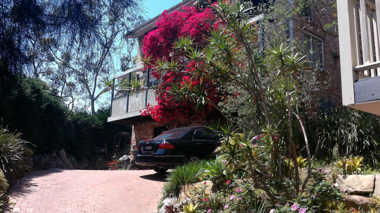 Photo of Buildings in Linley Point