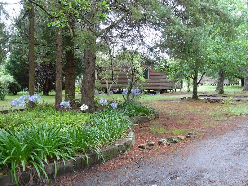 Photo of Others in Kurrajong Heights