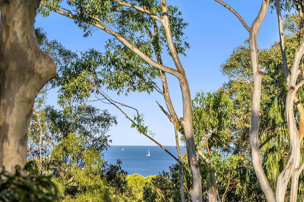 Photo of Others in Avalon Beach
