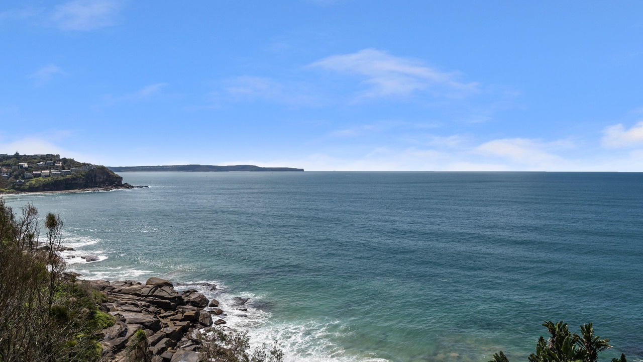 Photo of Others in Whale Beach