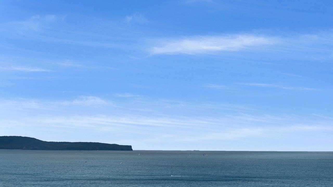 Photo of Others in Whale Beach