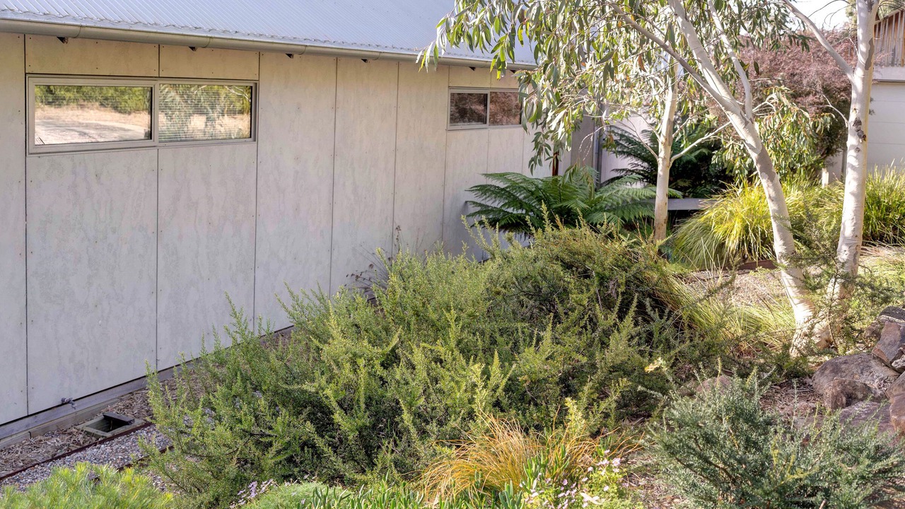 Photo of Outdoor in Mittagong