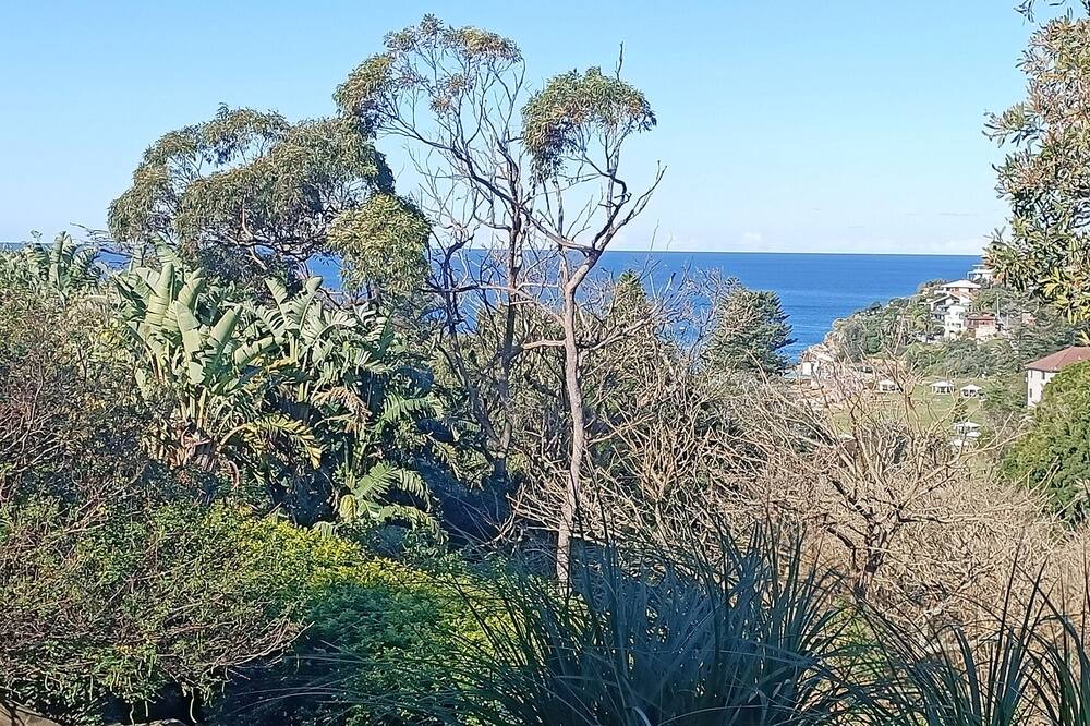 Photo of Others in Bronte