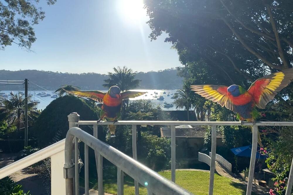 Photo of Patio Balcony in Avalon Beach