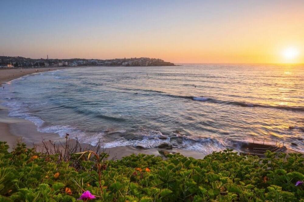 Photo of Others in North Bondi