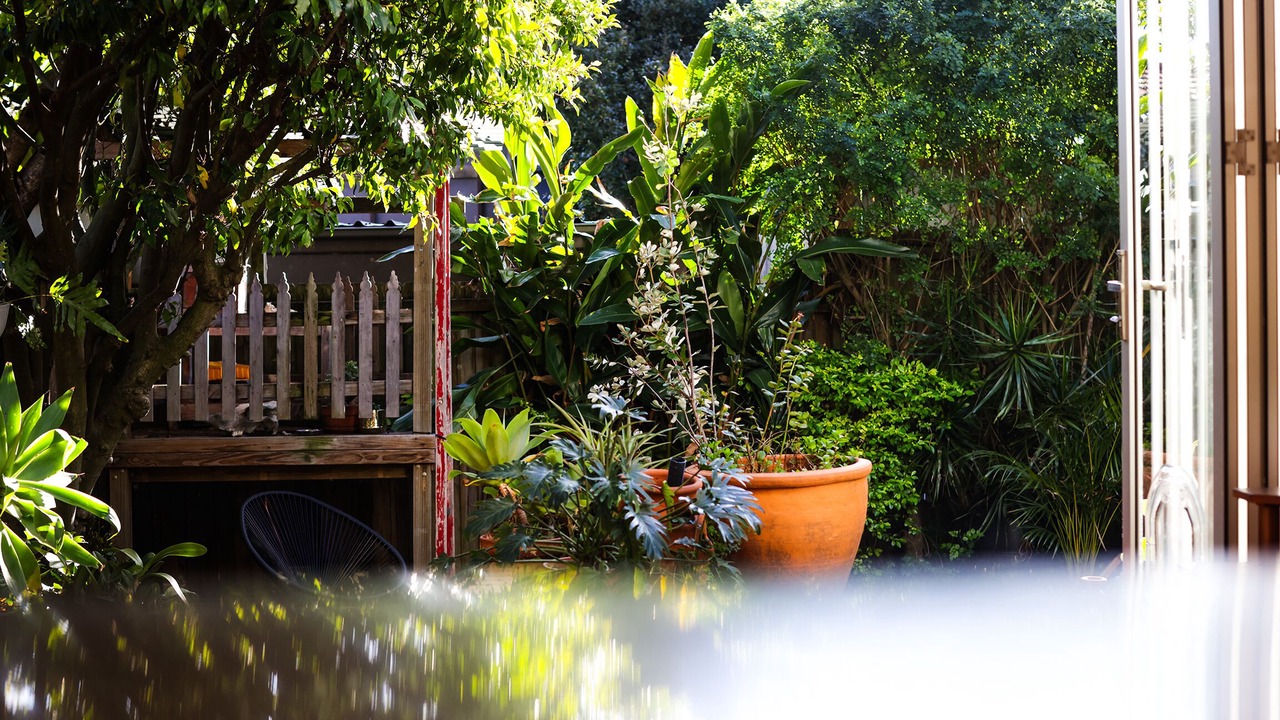 Photo of Outdoor in North Bondi
