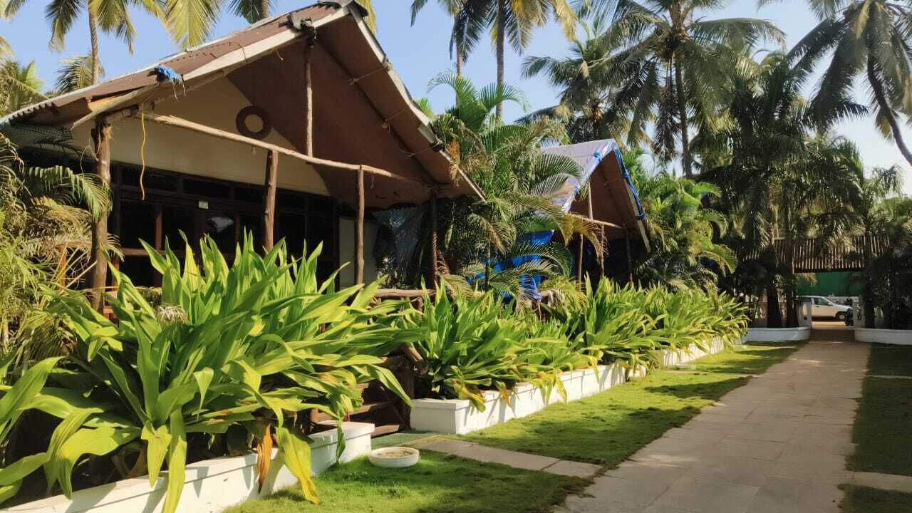 Photo of Others in Agonda