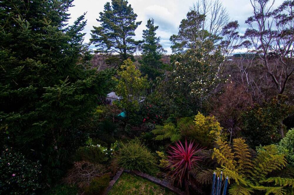 Photo of Others in Wentworth Falls
