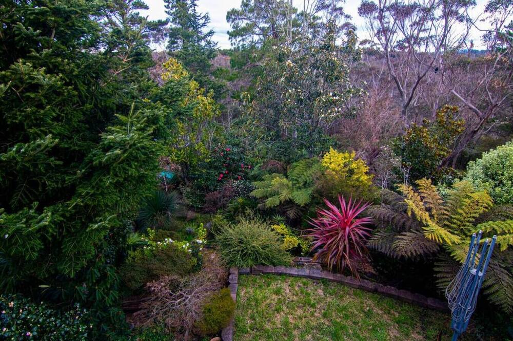 Photo of Others in Wentworth Falls