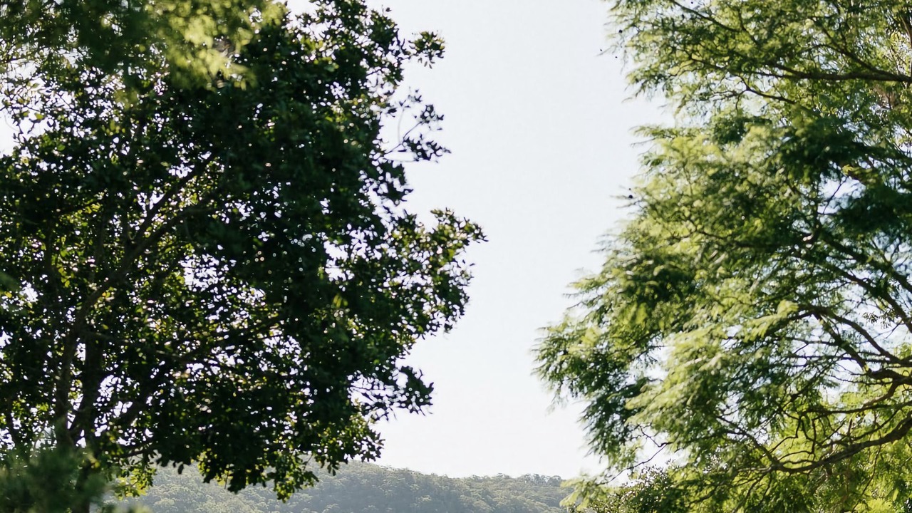 Photo of Others in Patonga