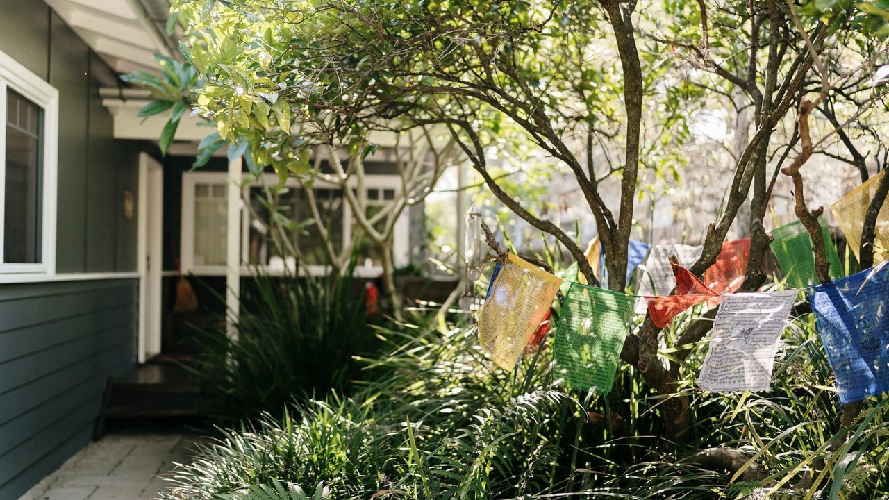 Photo of Outdoor in Patonga