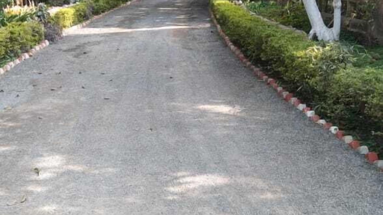 Photo of Outdoor in Damoy