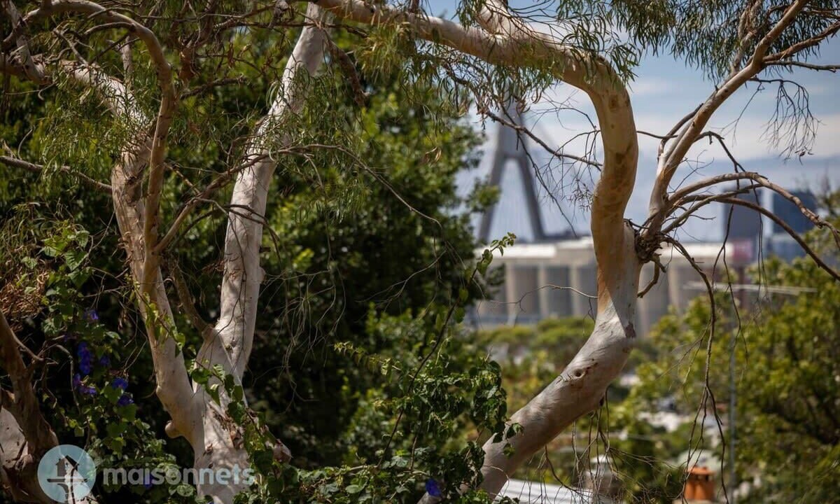 Photo of Outdoor in Balmain