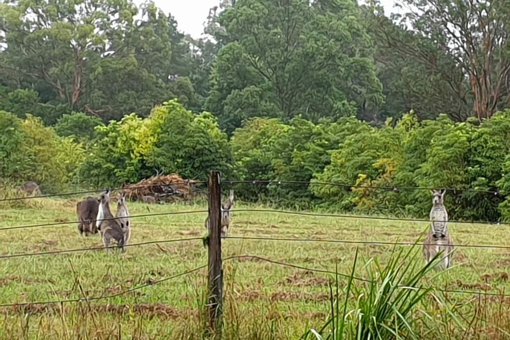 Photo of Others in Lakesland