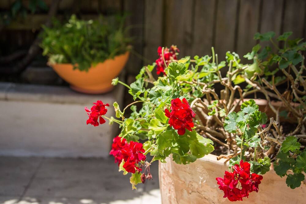 Photo of Outdoor in Bellevue Hill