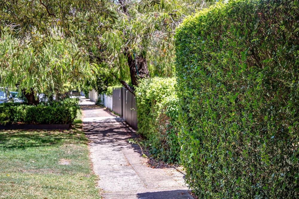 Photo of Outdoor in Bellevue Hill