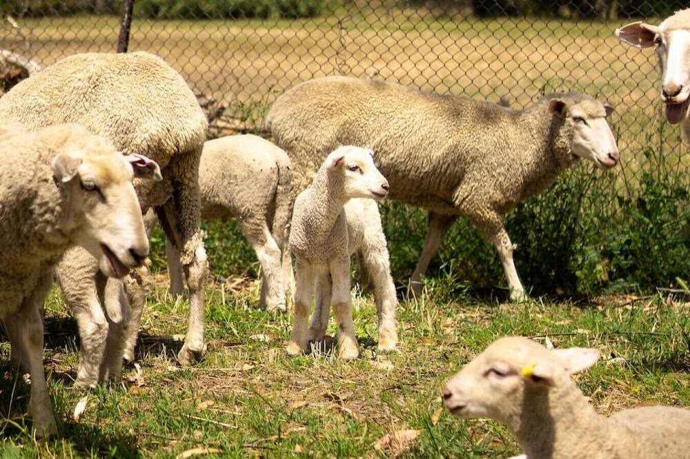 Photo of Others in Darbys Falls