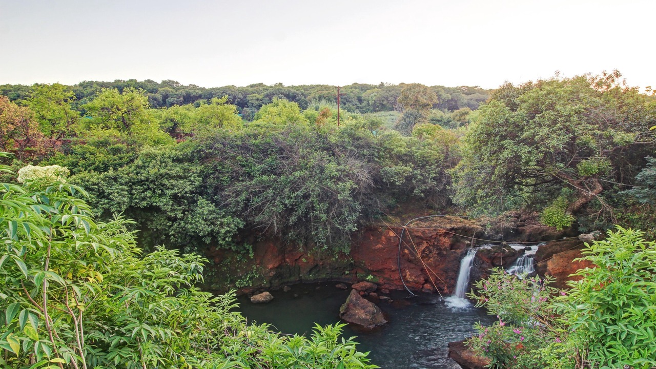 Photo of Others in Mahabaleshwar