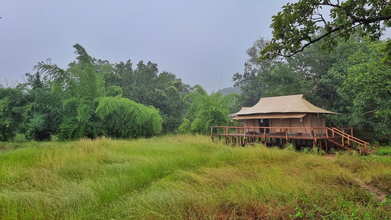 Photo of Outdoor in Umaria