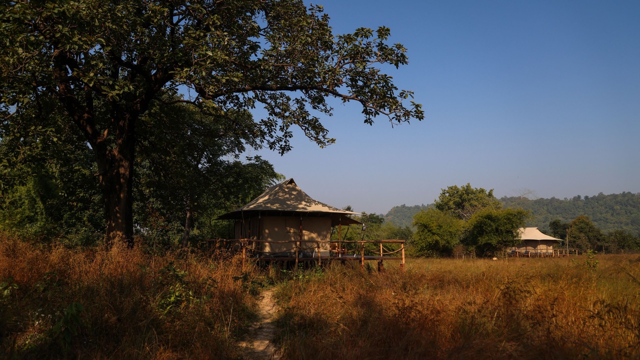 Photo of Outdoor in Umaria
