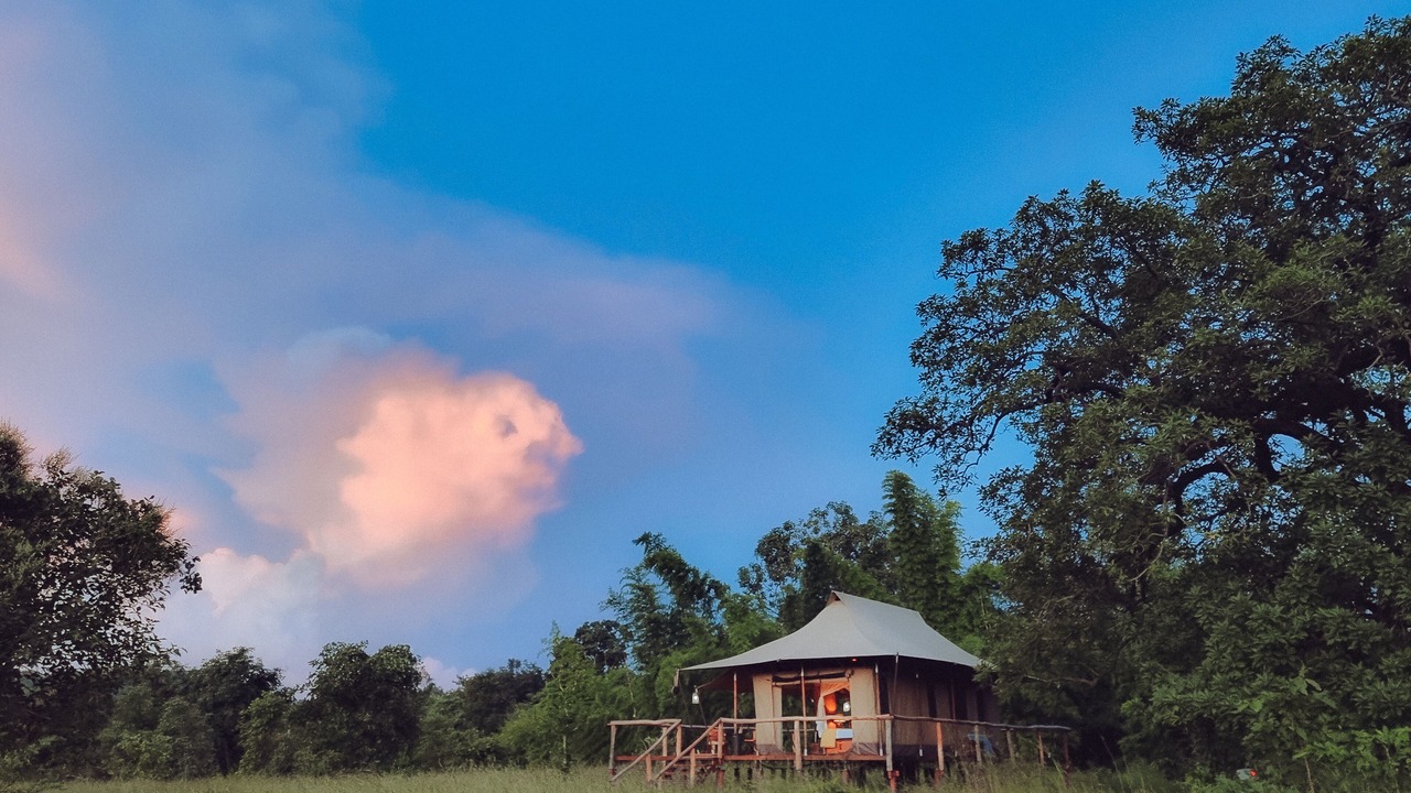 Photo of Outdoor in Umaria