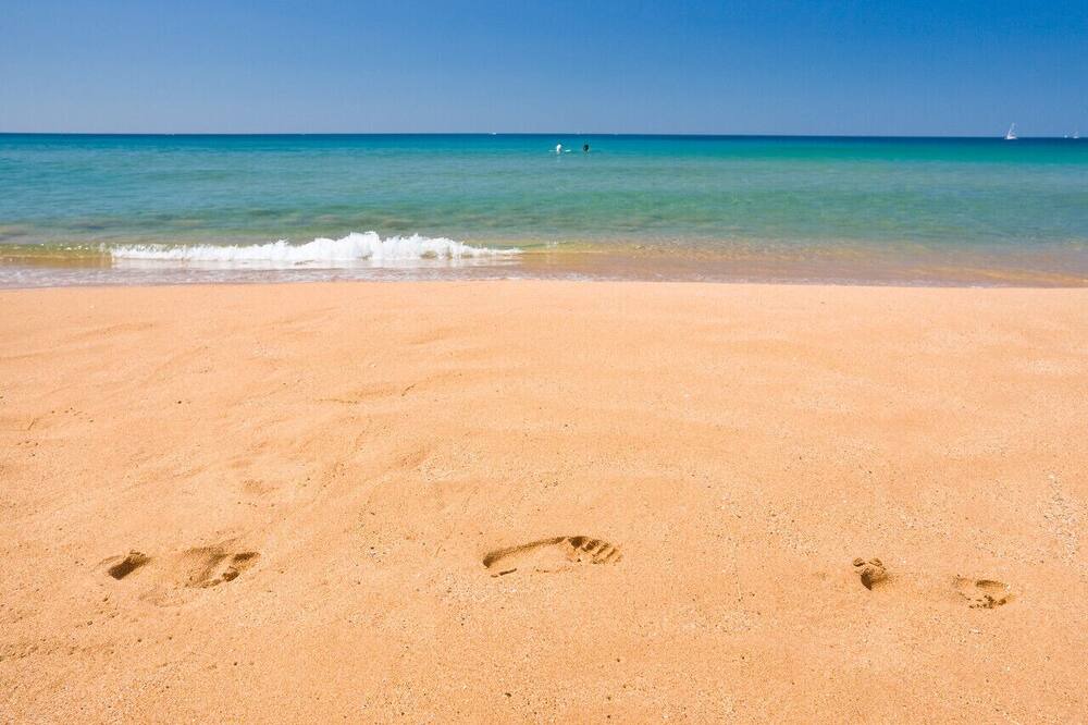 Photo of Others in Narrabeen